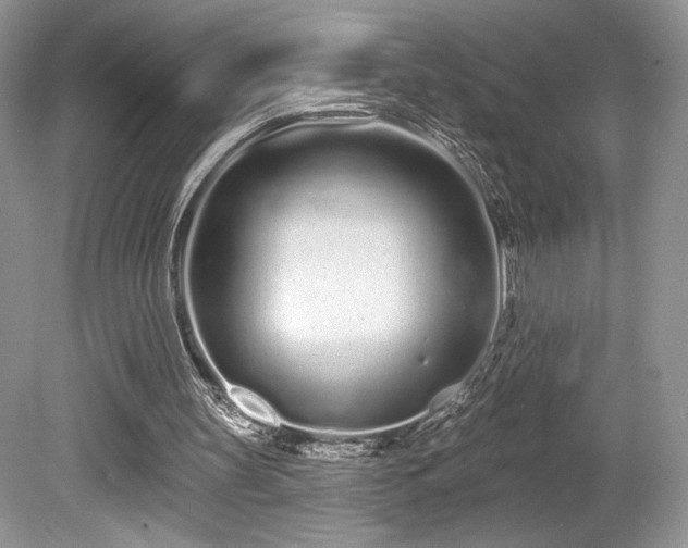 X0000080130147200612081239