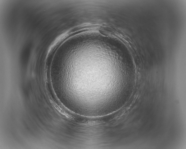 X0000080130149200612081239