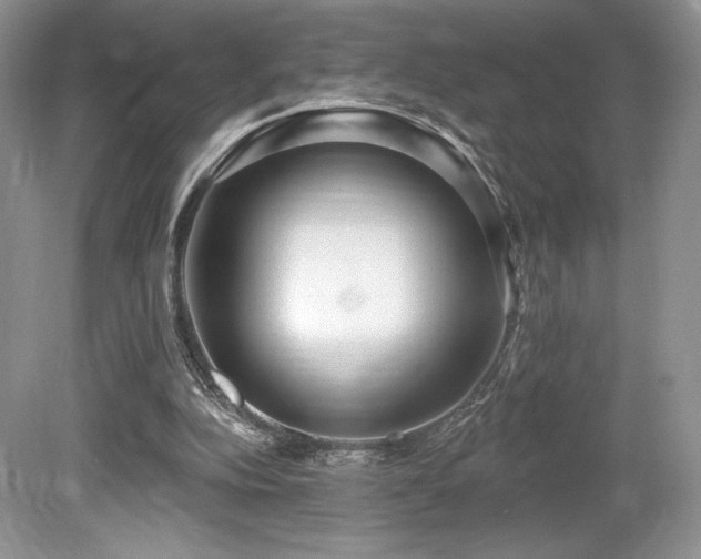 X0000080130152200612081239