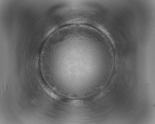 X0000080130153200612081239