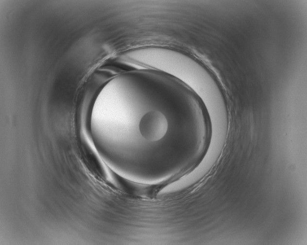 X0000080130154200612081239