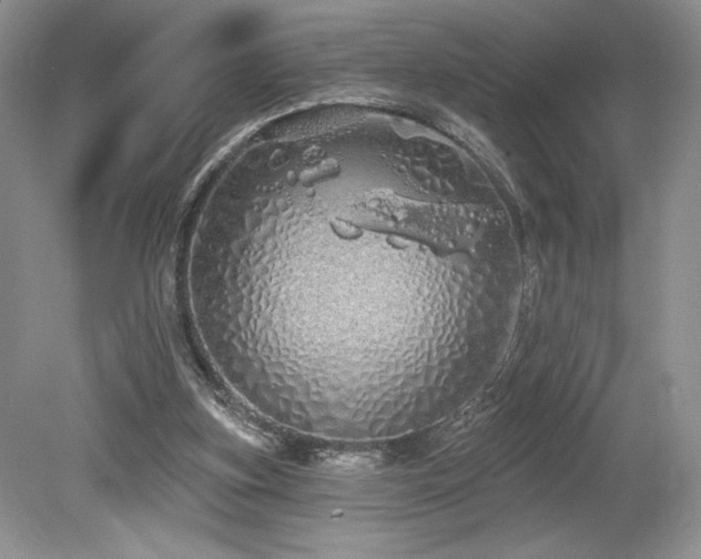 X0000080130155200612081239