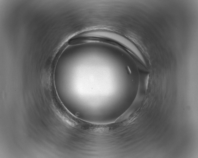 X0000080130156200612081239