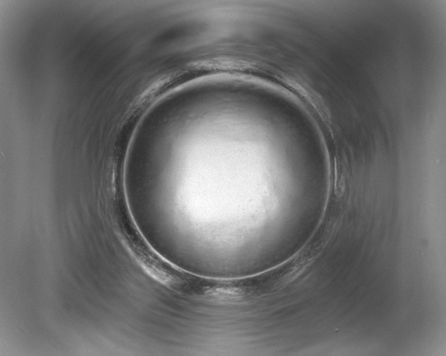 X0000080130157200612081239