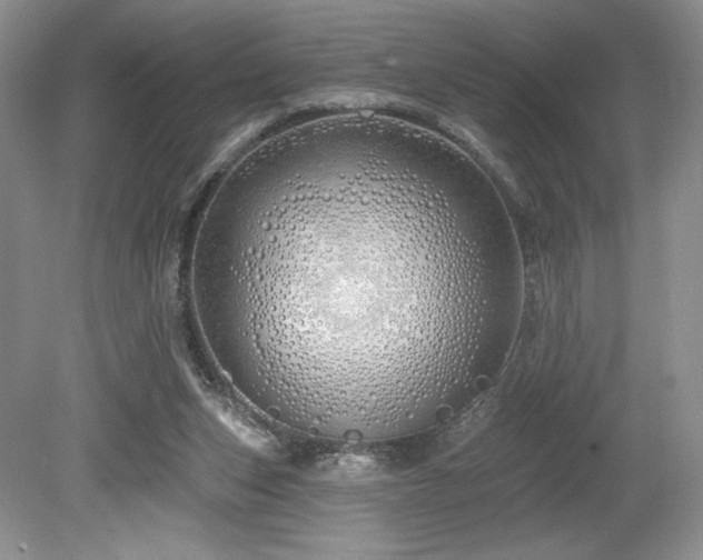 X0000080130159200612081239