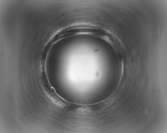 X0000080130160200612081239