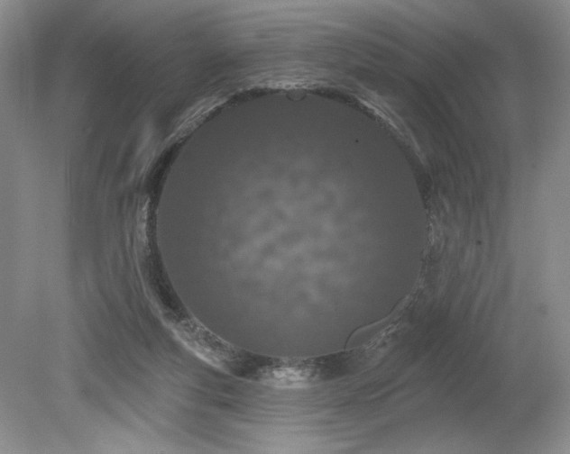 X0000080130163200612081239