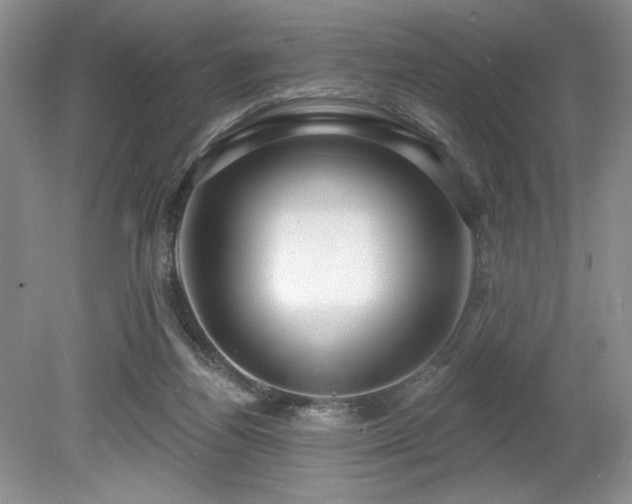 X0000080130164200612081239