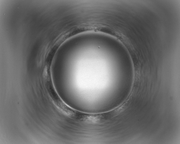 X0000080130166200612081239