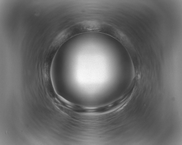 X0000080130170200612081239