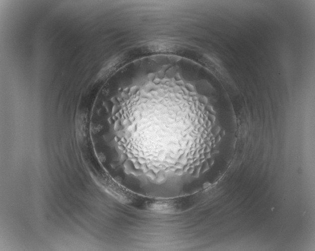 X0000080130171200612081239