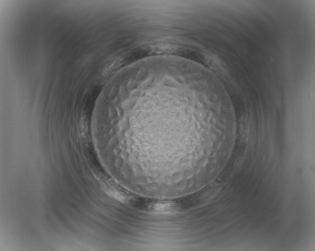 X0000080130173200612081239