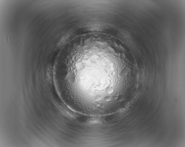 X0000080130175200612081239