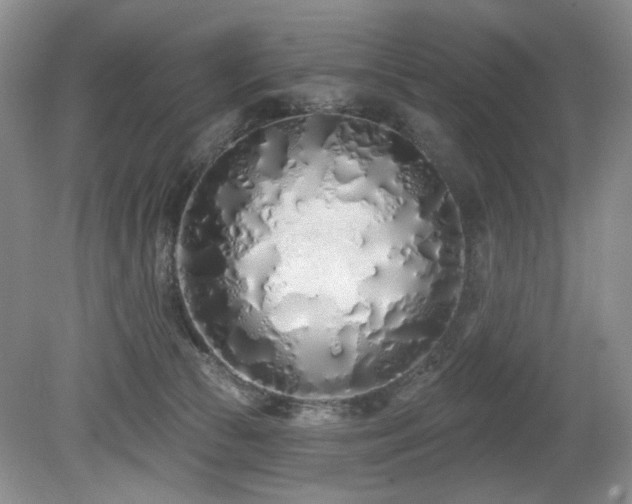 X0000080130177200612081239