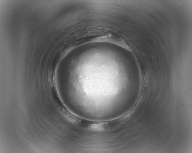 X0000080130178200612081239