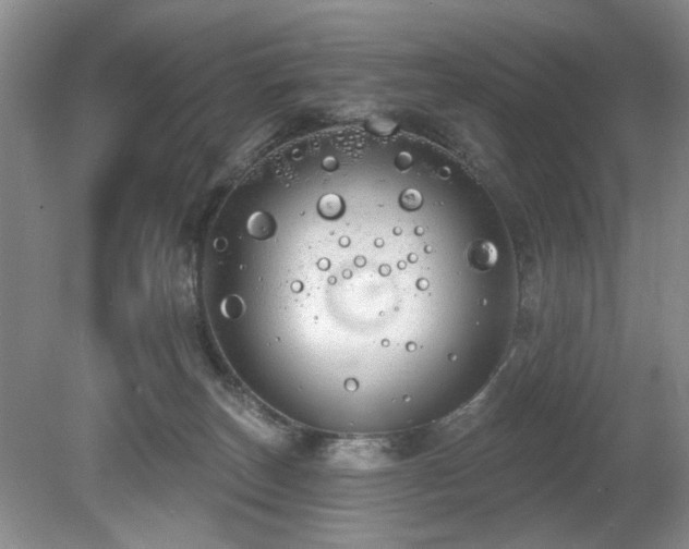 X0000080130179200612081239