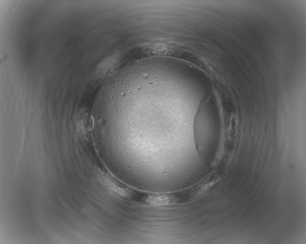 X0000080130181200612081239