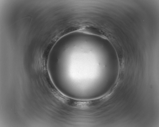 X0000080130182200612081239