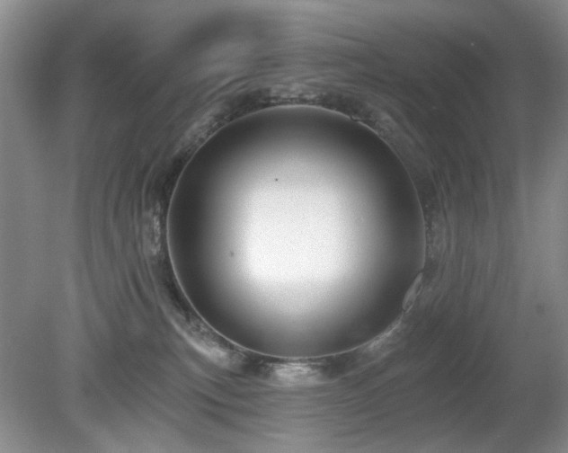 X0000080130183200612081239