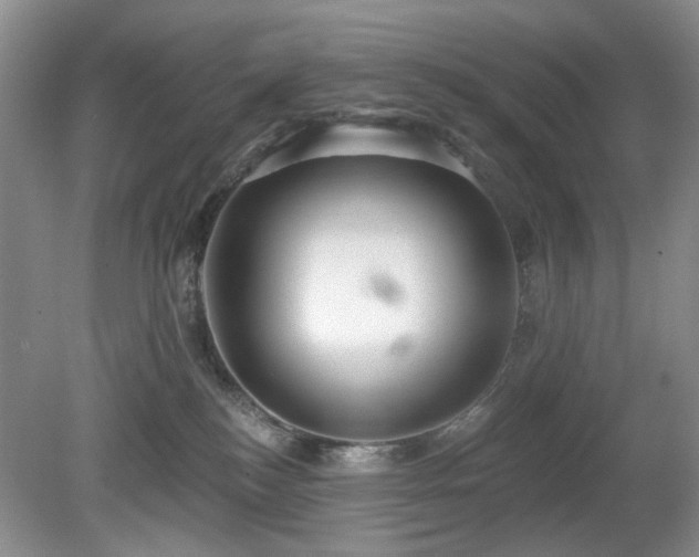 X0000080130184200612081239