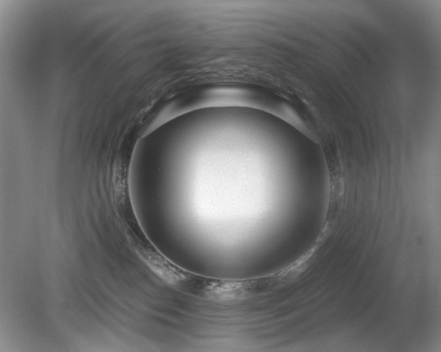 X0000080130186200612081239