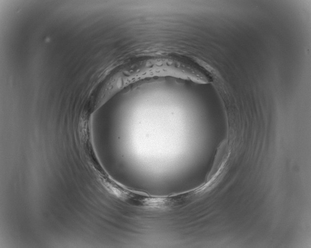 X0000080130192200612081240