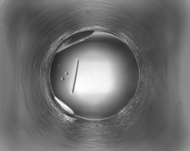 X0000080130193200612081239