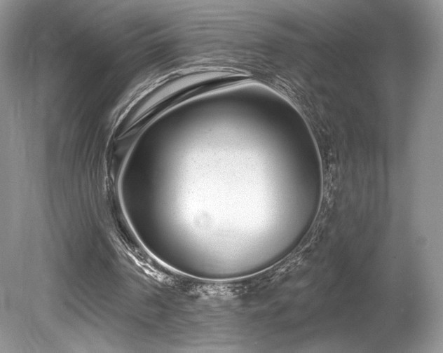 X0000080130194200612081239