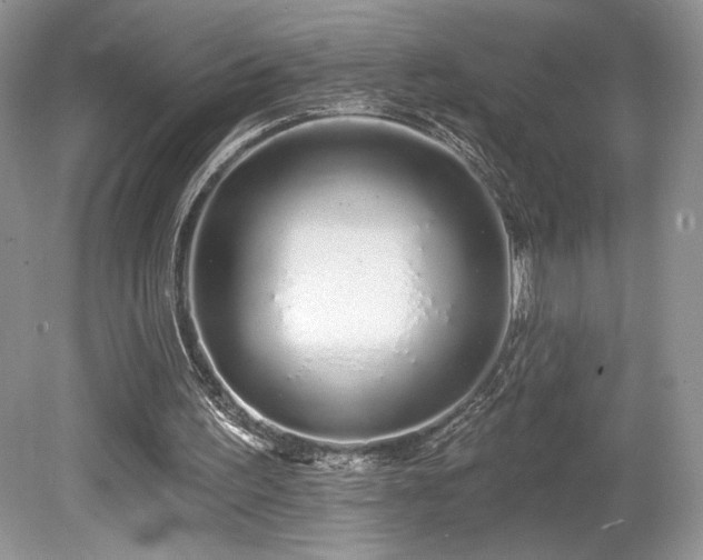 X0000080130195200612081239