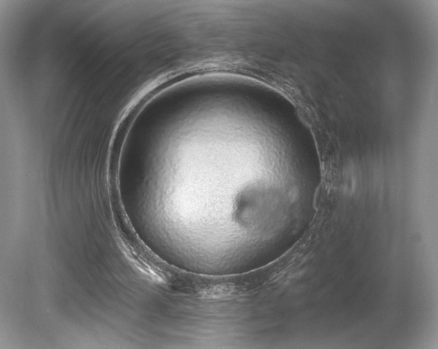 X0000080130196200612081239