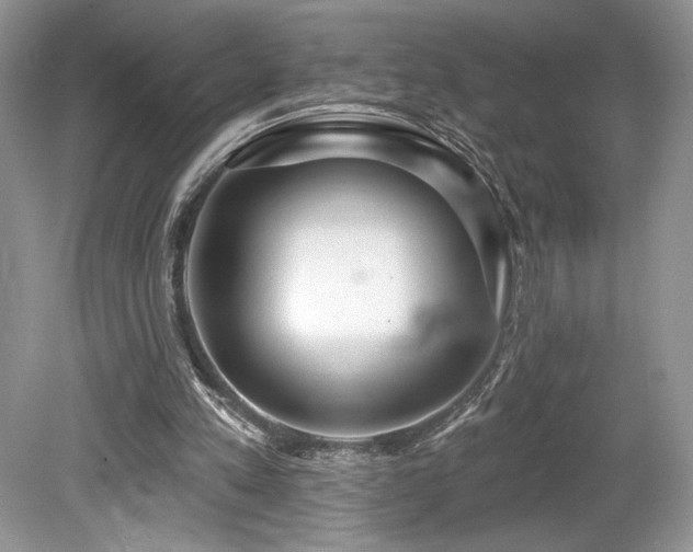 X0000080130197200612081239