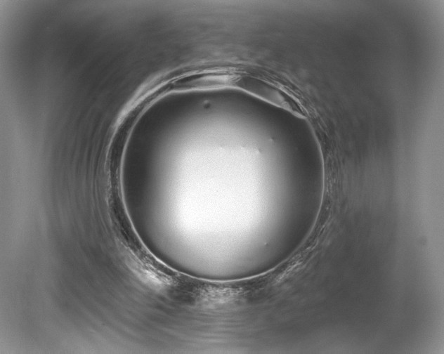 X0000080130198200612081239