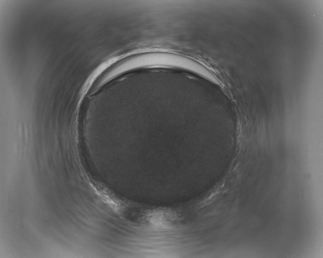 X0000080130200200612081239