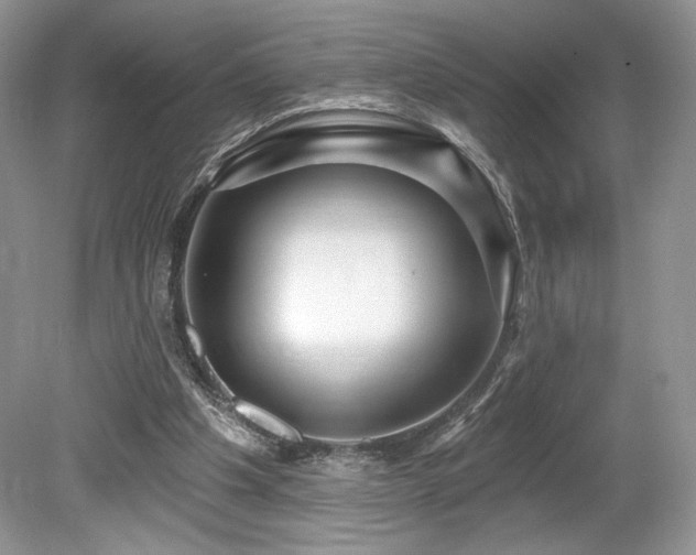 X0000080130201200612081239