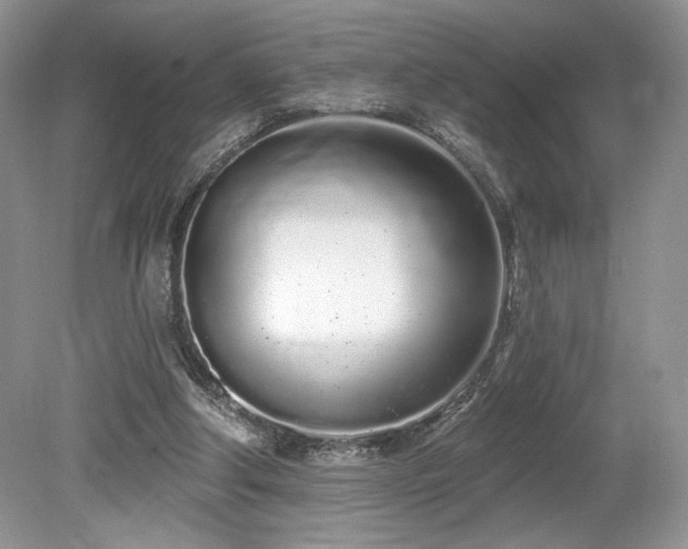 X0000080130202200612081239