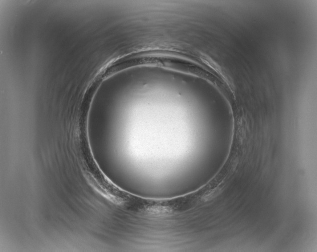 X0000080130203200612081239