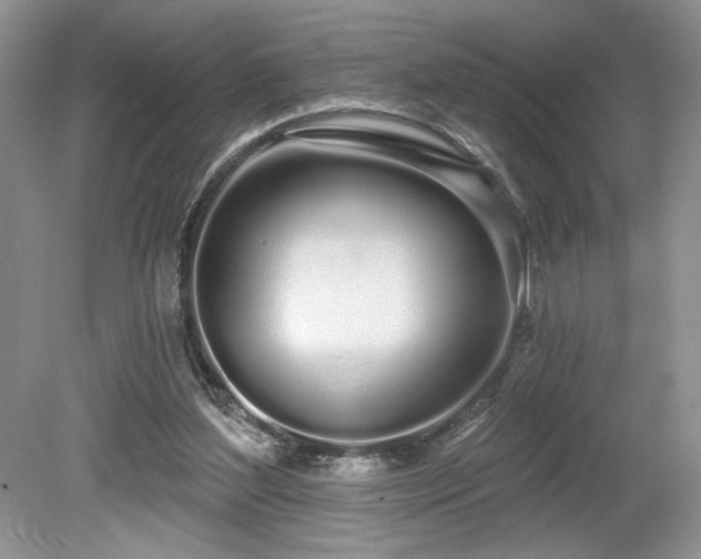 X0000080130204200612081239