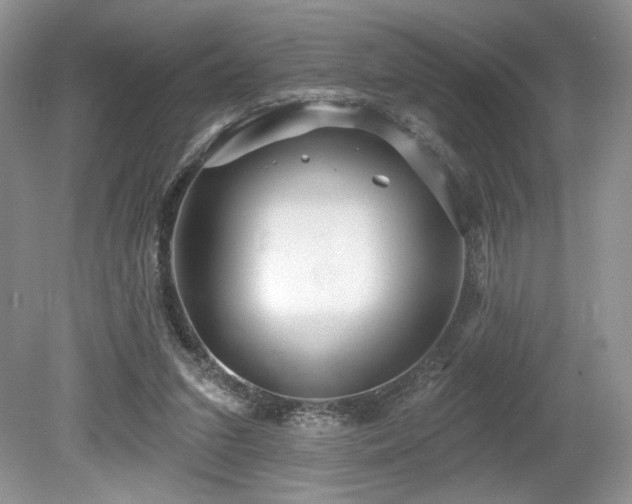 X0000080130207200612081238