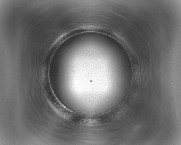 X0000080130208200612081238