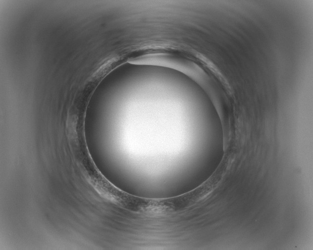 X0000080130209200612081238