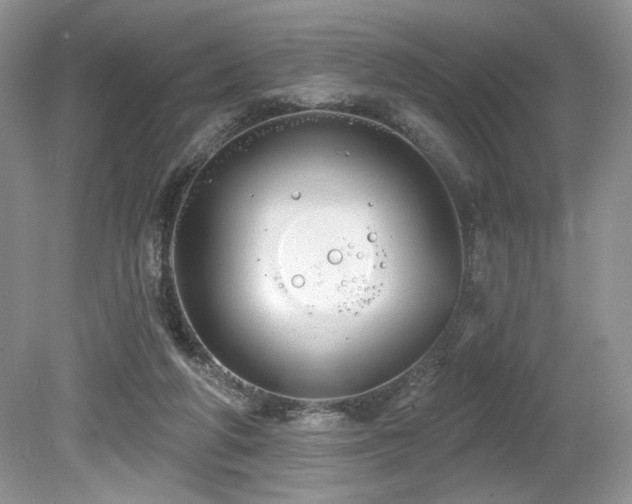 X0000080130210200612081238