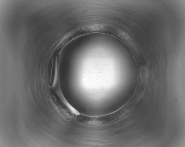 X0000080130212200612081238