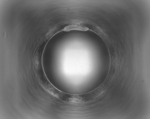 X0000080130215200612081238