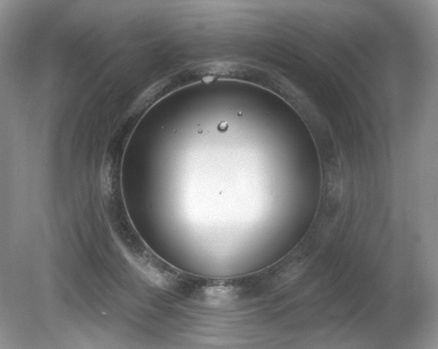 X0000080130216200612081238