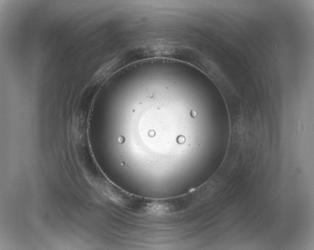 X0000080130218200612081238