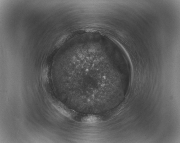 X0000080130219200612081238