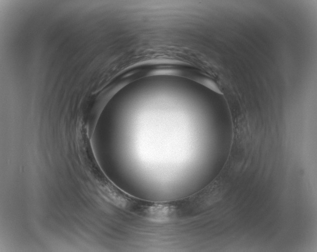 X0000080130225200612081238