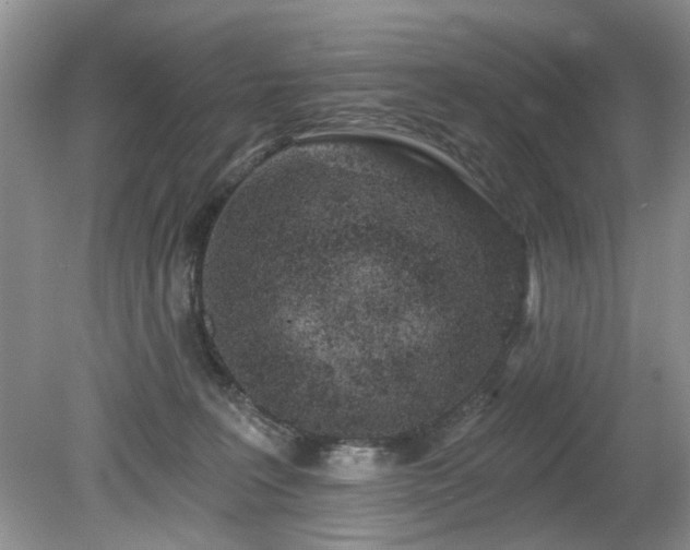 X0000080130227200612081238