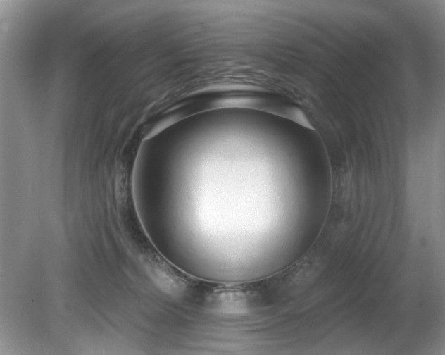 X0000080130228200612081238