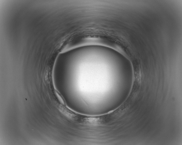 X0000080130233200612081238